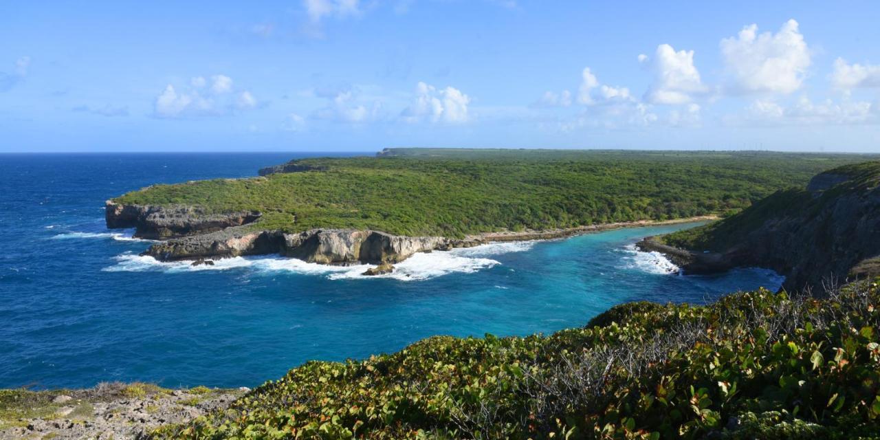 Locastudio - Carambole Sainte-Anne  Exteriér fotografie